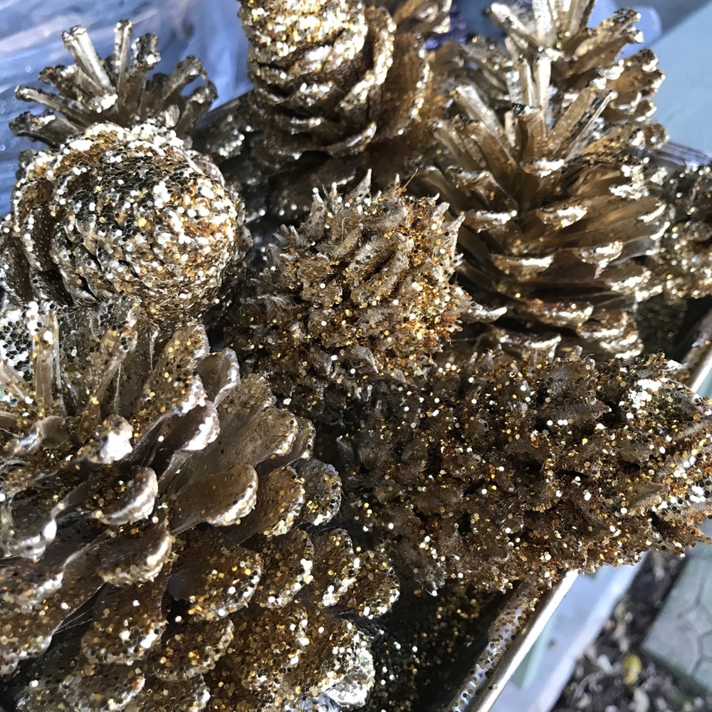 Gold pinecones & magnolia cones farm fresh